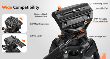 Dual Mode Video Head