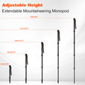 Travel Trekking Pole