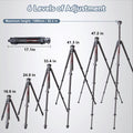 lightweight tripod Adjustable Heights