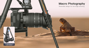Best tripod for heavy cameras and large lenses