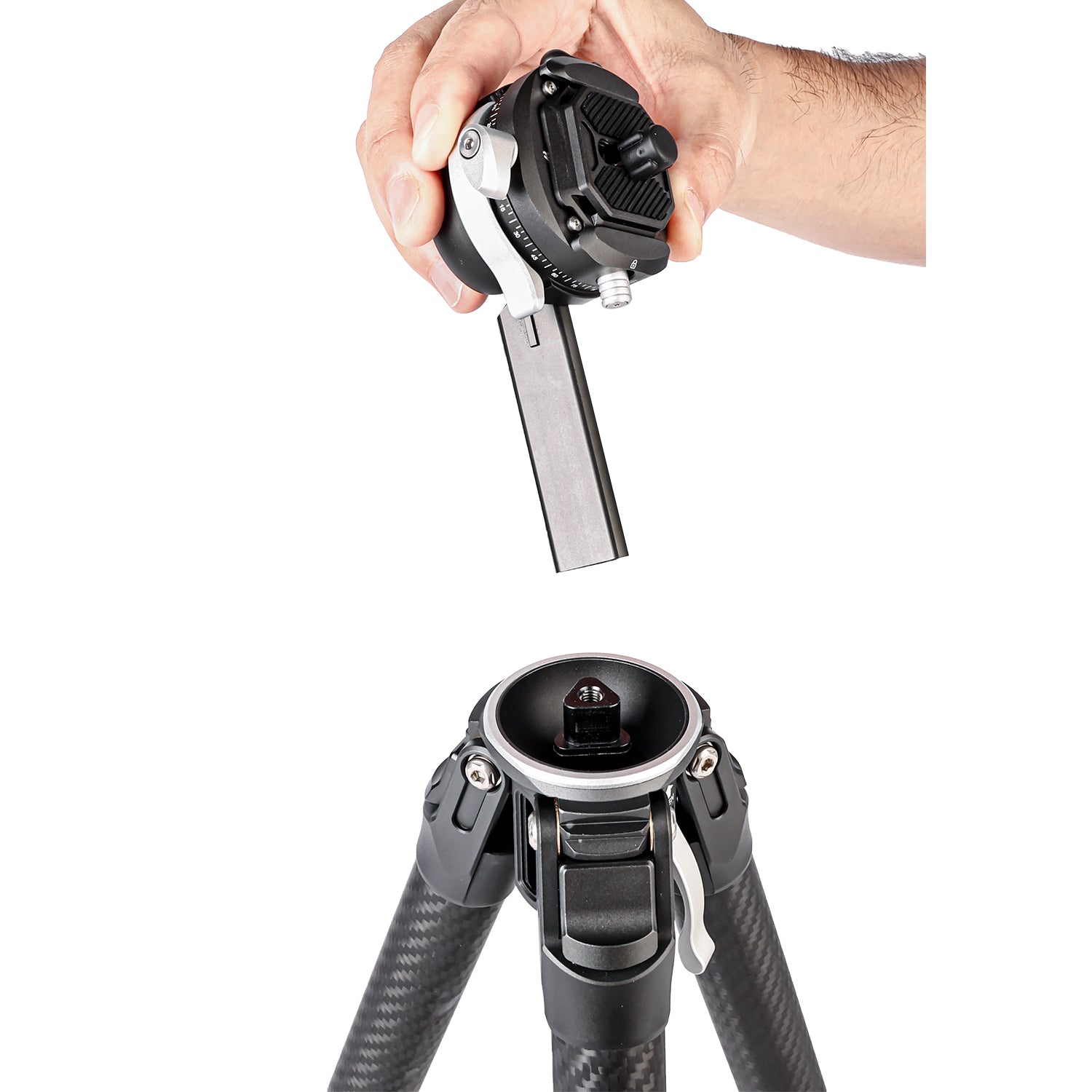 Carbon Fiber Tripod With B-00K Panoramic Ball Head, 59.8" Compact Lightweight Tr