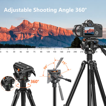 Adjustable Shooting Angle 360°