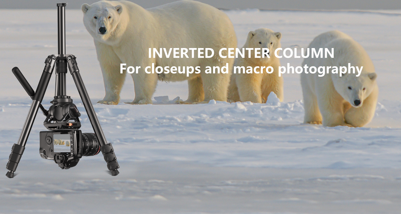 Panoramic Video Tripod