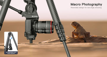 Quick-release camera mount tripod